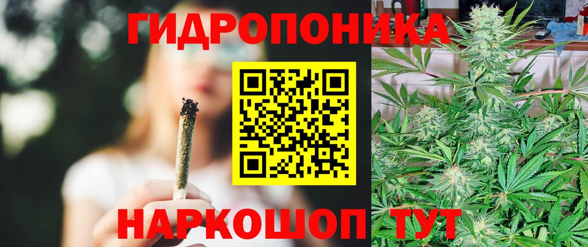 Бошки марихуана VHQ Тайшет